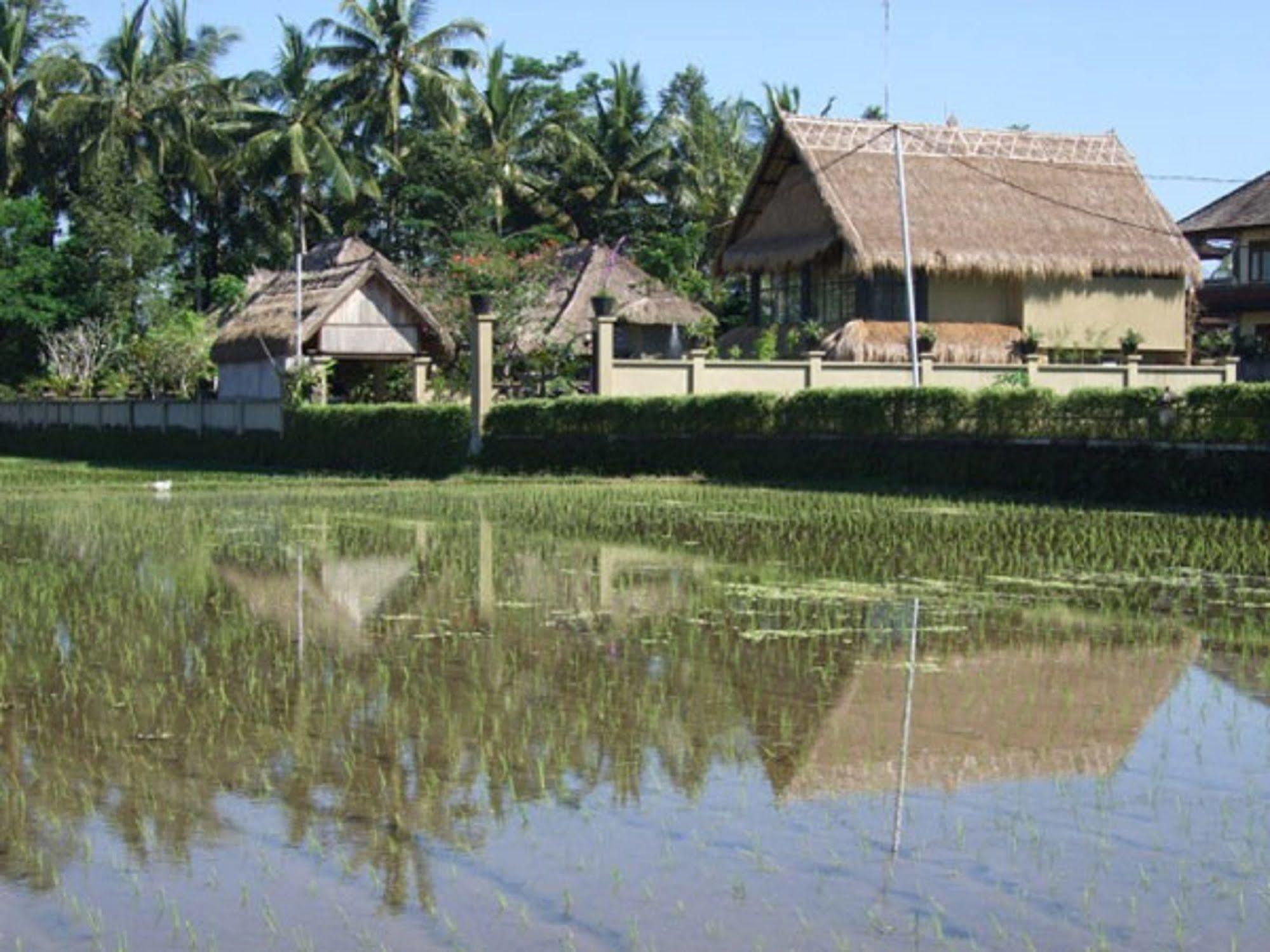 Puri Lotus Otel Ubud Dış mekan fotoğraf