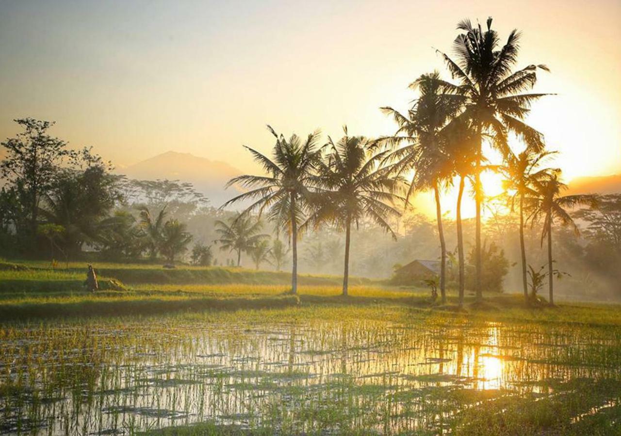 Puri Lotus Otel Ubud Dış mekan fotoğraf